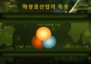 롤리타 렘피카의 마케팅성공사례 3페이지
