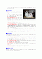 애완 동물 - 말티즈 4페이지