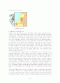 중동 신질서와 팔레스타인 문제 및 이슬람의 도전 5페이지