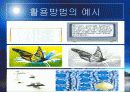 실물 화상기 - 실물 화상기의 교육적 활용  11페이지