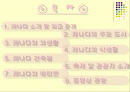 다양한 인종의 국가 - 캐나다의 풍습과 에티켓 2페이지
