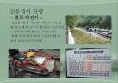 폐광지역의 관광활성화 8페이지