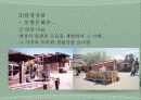 폐광지역의 관광활성화 11페이지