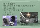 폐광지역의 관광활성화 14페이지