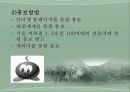 폐광지역의 관광활성화 17페이지