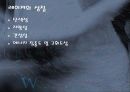 레이저 홀로그램아트란? 3페이지