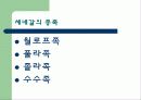 국가에 대한 기본정보 - 세네갈 11페이지