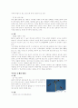 멕시코에 대한 조사 5페이지