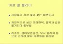 아르헨티나에 대하여 14페이지