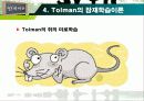 인지 학습 이론 10페이지