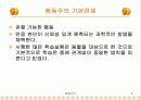 행동주의 학습이론 5페이지