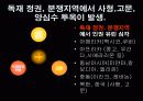 엠네스티 38페이지