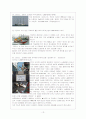 그린피스 14페이지