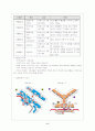 주요 국가의 공항정보 및 공항구조도 7페이지