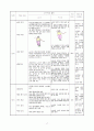 체육과 학습 지도안 - 맨손체조(일련체조) 19페이지