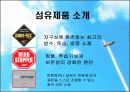 고어코리아의 수평적 조직문화 분석  5페이지