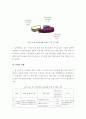 도시 재생 개념, 현황, 수준 7페이지