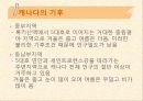 캐나다의 음식문화 7페이지