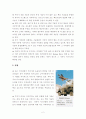 무인 항공기의 국내외 현황, 기술수준 및 국내 기술 발전 방향 2페이지