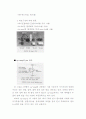 Op-amp 증폭 실험 2페이지
