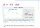 우리나라 혼수의 문제점과 문제해결방안  10페이지