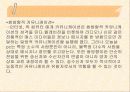 인터넷문화와 문제점에 대해서  5페이지