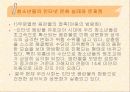인터넷문화와 문제점에 대해서  15페이지