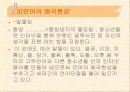 인터넷문화와 문제점에 대해서  17페이지