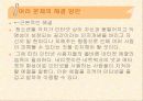 인터넷문화와 문제점에 대해서  22페이지