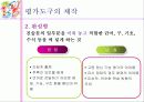 교수 프로그램의 평가 13페이지