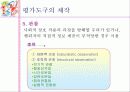 교수 프로그램의 평가 22페이지