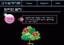 교수설계이론 14페이지