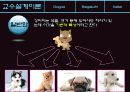 교수설계이론 21페이지