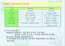 교육의 철학적 기초 24페이지