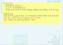 교육의 철학적 기초 27페이지