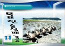 교수체제개발 39페이지