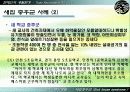 새집증후군 문제의 원인과 대책  10페이지