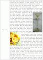 과일 중의 유기산 정량 4페이지