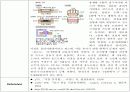 회분정량 - 직접회화법 7페이지