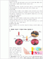 헤모글로빈 검사와 헤마토크릿치의 측정 2페이지