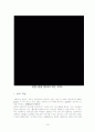 대학생의 성인식 설문조사와 이에 대한 고찰 19페이지