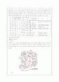 남 북한 군사력의 강약점 비교 분석 및 대응책 10페이지