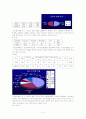 17대 대선을 중심으로 본 대학생들의 정보 추구 행태 설문 분석 보고서 5페이지