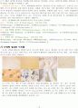 치즈에 대한 조사 13페이지
