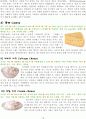 치즈에 대한 조사 19페이지