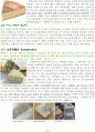 치즈에 대한 조사 22페이지