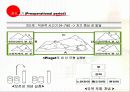 피아제의 인지발달 ppt 7페이지