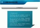 스웨덴의 평생교육 시스템 살펴보기  15페이지