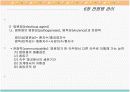 공중보건 16페이지