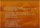 구성주의와 학습 15페이지